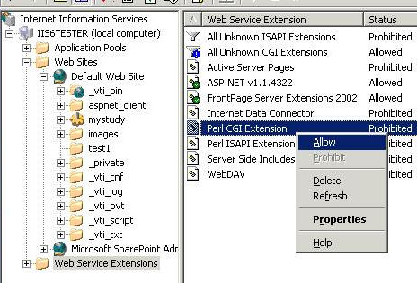 Microsoft Iis Web extensions