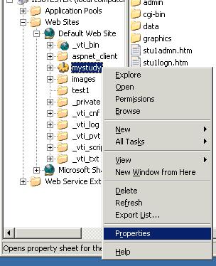 Microsoft Iis Virtual directory prop menu